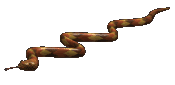 http://leeloo-snakes.cowblog.fr/images/Modules/serpent31.gif